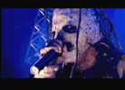 http://www.slipknot1.info/video/myplague.gif